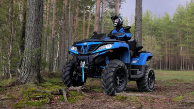 Обзор нового квадроцикла Arctic Cat Alterra 600 EPS (2022) | arcticcat.ru -  продажа снегоходов Москва