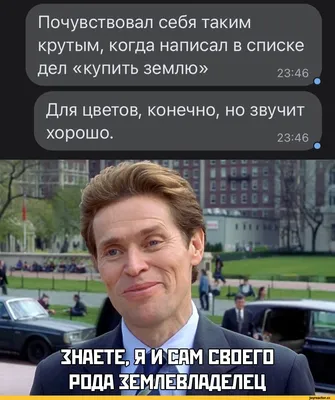 ШАЙЛУШАЙ МЕМ, КРУТО, X3 PRO, …» — создано в Шедевруме