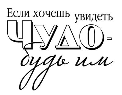 крутые тропические листья обои с неоновой надписью Фон Обои Изображение для  бесплатной загрузки - Pngtree