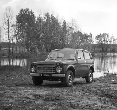 Лада Нива Бронто (LADA Niva bronto) - Продажа, Цены, Отзывы, Фото: 11  объявлений