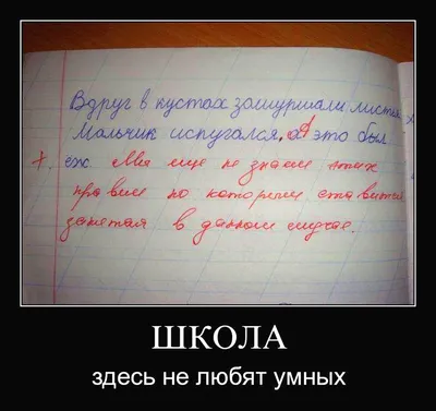 Мужские крутые прикольные носки с надписью (текстом) хлопковые, Украина,  житомирские (ID#1395329308), цена: 65 ₴, купить на Prom.ua