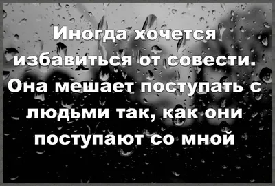 Самые крутые и смешные статусы ВКонтакте | Приколы | Дзен