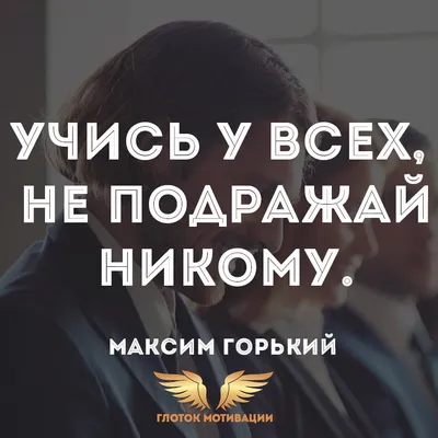 Лучшие цитаты и пословицы из Интернета в картинках - Canva