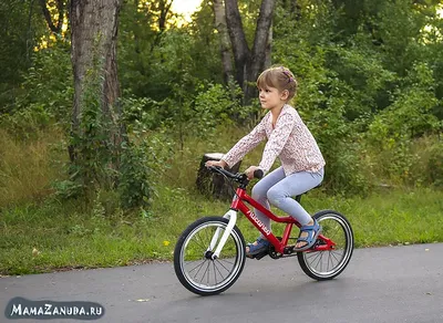 Самые дорогие велосипеды мира