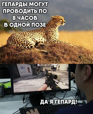 КС ГО МЕМЫ l CS:GO МЕМЫ on Instagram: “#ксгомемы#ксмем #ксгомем #ксмемы#кс# ксго #скины #видиоигры #игры #игра #геймер #геймеры #… | Мемы, Смешные  мемы, Смешной юмор