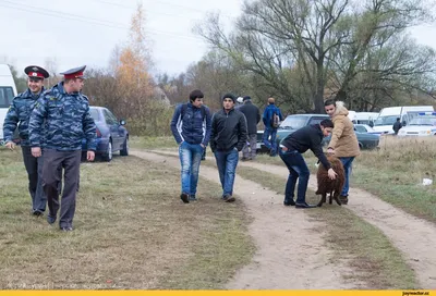 Картинки на Курбан Байрам: открытки поздравления с праздником на 28 июня  2023