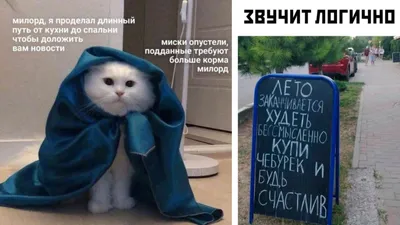 Скоро лето… | Пикабу