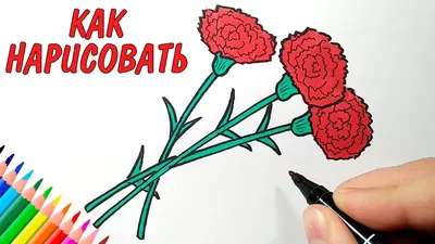 18 рисунков на 9 Мая, с которыми справится каждый - Лайфхакер