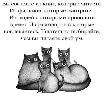 любовь :: отношения / смешные картинки и другие приколы: комиксы, гиф  анимация, видео, лучший интеллектуальный юмор.