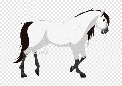 Horse Mare Drawing Art Модель листа, аниме мальчик, млекопитающее, животные  png | PNGEgg