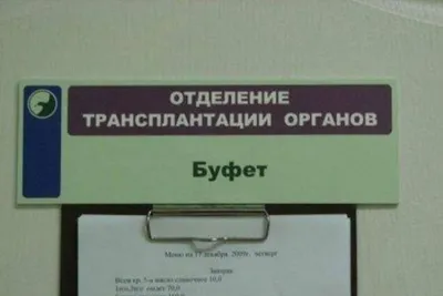 Портрет Французского Бульдога Концепция Ветеринарной Медицины Породистые  Собаки Смешные Животные стоковое фото ©fotosedrik 566631794