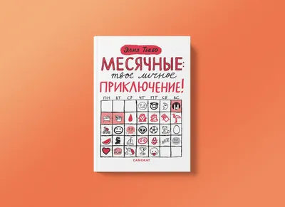 Календарь 2024, календарь со смешным котом на январь 2024 года, декабрь  2024 года, 12 месяцев, ежемесячный настенный календарь, портативный  настенный календарь с переворачиваемой крышкой | AliExpress