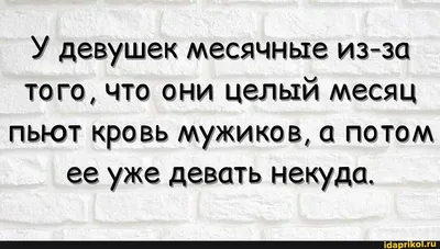 месячная норма / смешные картинки и другие приколы: комиксы, гиф анимация,  видео, лучший интеллектуальный юмор.