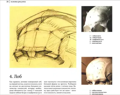 Основы живописи, В. А. Могилевцев – скачать pdf на ЛитРес