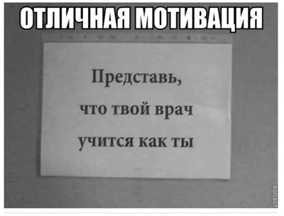 Смешные мудрецы обсуждают вдохновляющие мотивационные цитаты . Векторное  изображение ©bomg11 93632988