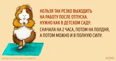 4 примера сопроводительных писем, которые сработают — Work.ua