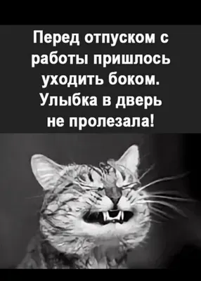 Смешные комиксы об абсурдности жизни и работы | ЛМК | Дзен