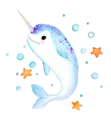 Цветные страницы: narwhal. Маленький милый нарвал плавает . Векторное  изображение ©ya-mayka 128071510