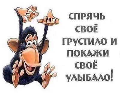 хроническая депрессия покидает моё тело после того, как кто-то сказал \"не  грусти\" / Приколы для даунов :: разное / картинки, гифки, прикольные  комиксы, интересные статьи по теме.