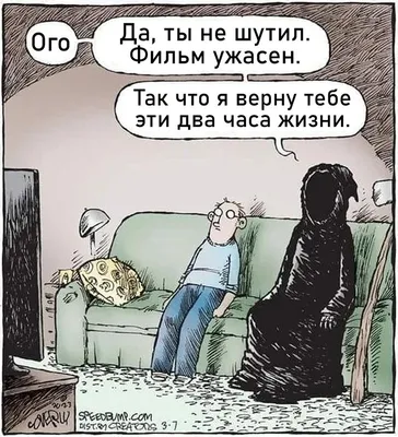 Что ты делаешь в свободное время? ••г* В какое? ''' Ну в свободное Это  какое? Когда не за / грустный кот :: смешные картинки (фото приколы) ::  котэ (прикольные картинки с кошками) /