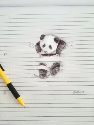 Необычные рисунки в линованных тетрадях | Pencil drawings of animals, Cute  drawings, Animal drawings