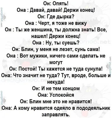 Включите воображение - сейчас я расскажу, почему это очень смешные три  фото🙌🏼 Действующие лица: Белка (кролик) Мася (сфинкс) Мишель… | Instagram