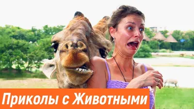 Самые свежие анекдоты. Смешные до слез! on Apple Books