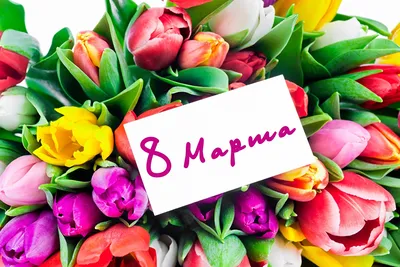 Очень смешные картинки на 8 марта