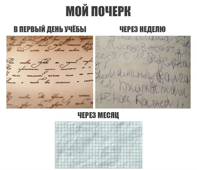 Ну все, привет школа и универ! Собрали самые смешные мемы про учебу