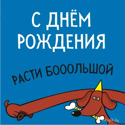 Поздравление с днем рождения начальнице с юмором – открытки, картинки,  стихи - Телеграф