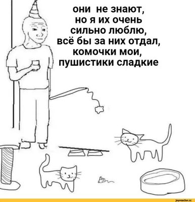 они не знают, но я их очень сильно люблю, всё бы за них отдал, комочки мои,  пушистики сладкие / I Wish I Was At Home :: Мемы (Мемосы, мемасы, мемосики,  мемесы) ::