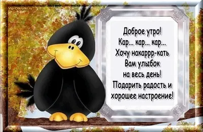 Мужская забавная футболка с надписью «I Not Need Google», «Моя жена знает  всё», одежда для мужа, папы, жениха, смешные футболки, хлопковая футболка |  AliExpress