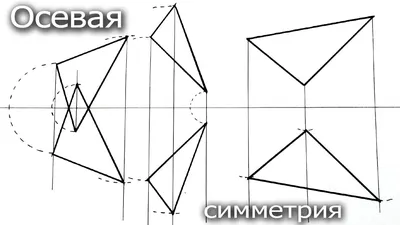 Что такое осевая и центральная симметрия?