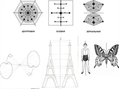 Рисунки по клеточкам симметричные относительно прямой (46 фото) » рисунки  для срисовки на Газ-квас.ком