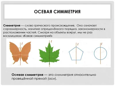 Осевая симметрия рисунки