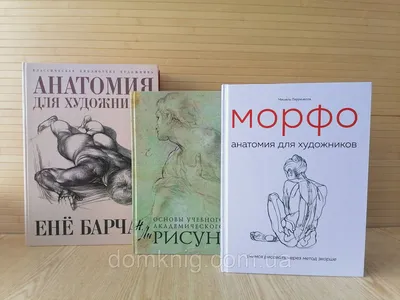 Николай Ли Основы академического рисунка + Барчаи Анатомия для художников +  Мишель Лауричелла Морфо (ID#1575137340), цена: 3200 ₴, купить на Prom.ua