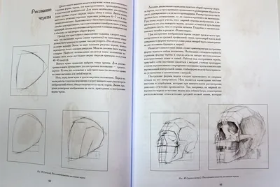 Голова человека. Основы учебного академического рисунка — Николай Ли купить  книгу в Киеве (Украина) — Книгоград