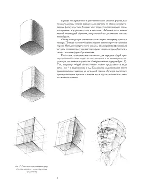 Голова человека : основы учебного академического рисунка (Ли, Н. Г.)