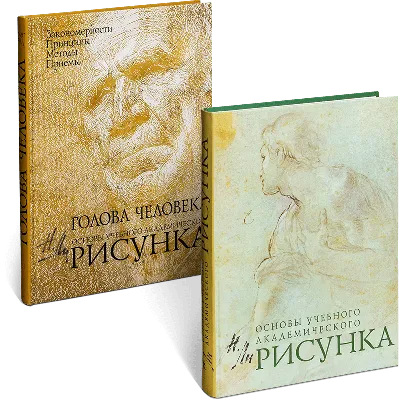 Иллюстрация 27 из 52 для Голова человека. Основы учебного академического  рисунка - Николай Ли | Лабиринт - книги.