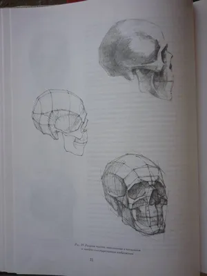 Рисунок. Основы учебного академического рисунка Эксмо 1993675 купить за 1  026 ₽ в интернет-магазине Wildberries