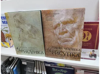 Книга Основы учебного академического рисунка Николай Ли: 660 грн. - Книги /  журналы Киев на Olx