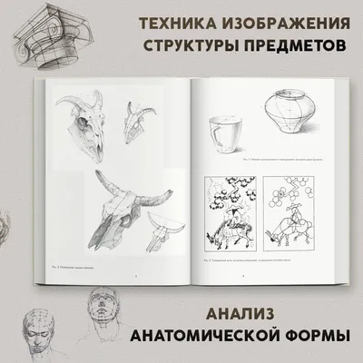 Онлайн курс «Основы академического рисунка» от Елены Таткиной, академический  рисунок в школе рисования Вероники Калачевой | Школа рисования для взрослых  Вероники Калачёвой — Kalachevaschool | Обучение вживую в Москве и онлайн по  всему миру