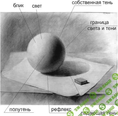 Calaméo - Основы рисования.