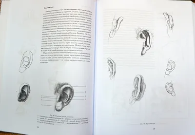 Основы учебного академического рисунка, Н. Г. Ли - «Библия начинающих и  профессионалов. Хотите улучшить свою технику рисования, тогда вернемся к академическому  рисунку! Повторение мать учения!» | отзывы