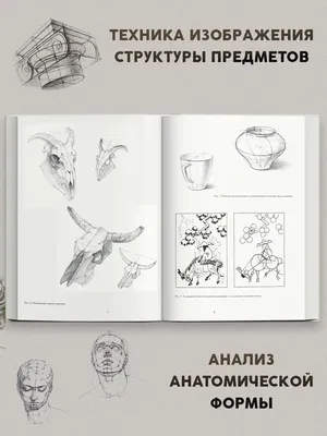 Основы учебного академического рисунка (суперкомплект из 2 книг) (Николай  Ли) купить книгу в Киеве и Украине. ISBN 978-5-699-35151-0,  978-5-699-25049-3