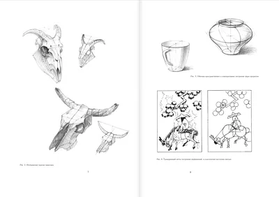 Рисунок. Основы учебного академического рисунка knizka.pl