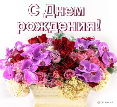 Заказать Открытки | Открытка с Днем Рождения 5 с бесплатной доставкой |  Katty Art Flowers