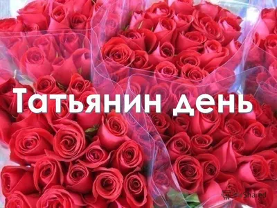 Татьянин день 2018: лучшие открытки и поздравления в этот день