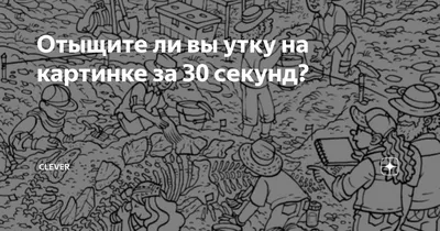 Отыщите ли вы утку на картинке за 30 секунд? | Clever | Дзен