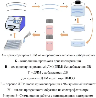 Вся ФИГНЯ от мозга? - Немного базовых структур, отвечающих за  взаимодействие сверх-я и я #психоанализ #психология #василийчибисов  #комплексы | Facebook